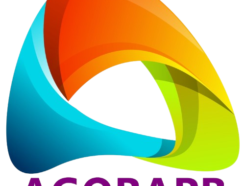 Tubarão-Baleia Preso em Rede de Pesca: Incidente Gera Alerta no Brasil